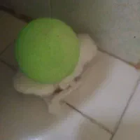 گوهر شب چراغ|کلکسیون و سرگرمی|قم, ارم|دیوار