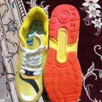 کتونی آدیداس|کیف، کفش، کمربند|قم, نیروگاه|دیوار