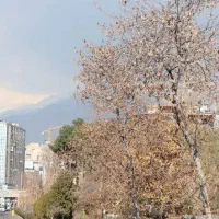 اکونومی،بهداشتی