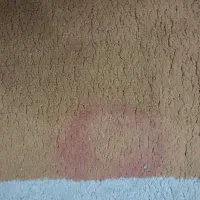 فرش3*2|فرش|نیشابور, شهرک فیروزه|دیوار