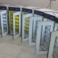 دستگاه جوجه کشی +بدون پیچیدگی کد 126