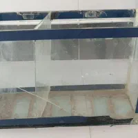 فروش آکواریوم.