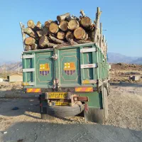 خرید چوب باغی