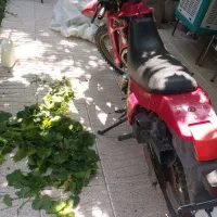 موتور۲۰۰تریل|موتورسیکلت|خسروشاه, |دیوار