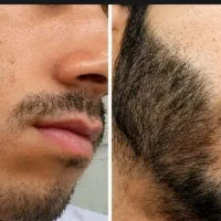 موهاتو جنگل امازون کن