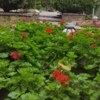 فرمانیه-فرعی-دنج-اندرزگو120متر2خواب-نورشمال-و-جنوب