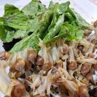 حلزون آچاتیناآلبینو طبی وکلاژن ساز(مطالعه توضیحات)