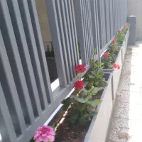 کلیه امورات باغبانی