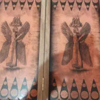 تخته نرد نو خشک