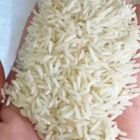 برنج طارم هاشمی فریدونکنار/برنج امساله/درجه۱صادرات|خوردنی و آشامیدنی|فریدون‌کنار, |دیوار