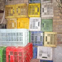 سبد گوجه رنگی|عمده‌فروشی|مرودشت, کوشک|دیوار