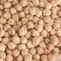 خرید و فروش عمده حبوبات، نخود و عدس ارگانیک