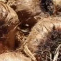 نقدی پرداخت
