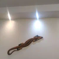 دیوارکوب چوبی هندی