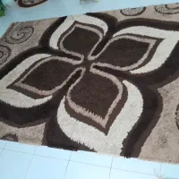 دوتخته فرش شگی|فرش|سنندج, |دیوار