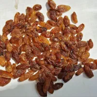 کشمش اعلا برای دبه برای پاتیل هر یک کیلو ی لیتر ج|خوردنی و آشامیدنی|گرگان, |دیوار