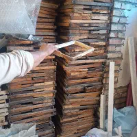 کندو وقوطی وبدنه|لوازم جانبی حیوانات|ماکو, |دیوار