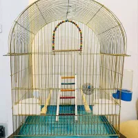 قفس پرنده ، کاسکویی ، نو نو