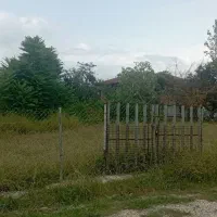 زمین500متری-در-لیسار-محله-اول-شعبان-محله