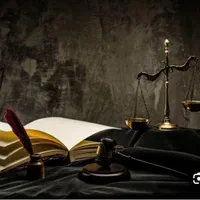همکاری با افراد ماهر در جذب پرونده های حقوقی