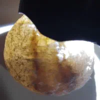 سنگ زیبا درجه ۱