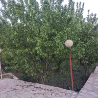 باغ در پره دارای گاز و برق و آب چاه عمیق لوله کشی|فروش زمین و ملک کلنگی|خوی, |دیوار