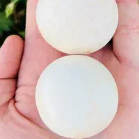 معامله و کارشناسی الماس آسیاب ها