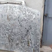 کاپوت زانتیا