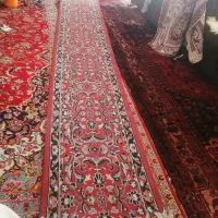 فرش کناره یک جفت|فرش|شیراز, قصرالدشت|دیوار
