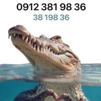 9123819836