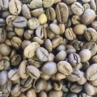 قهوه مخصوص اسپرسو کارگاهی تحویل سریع