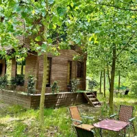 هر آنچه از یک ویلا انتظار دارید|فروش خانه و ویلا|محمدشهر, همایون ویلا|دیوار