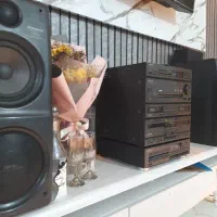 پایونرمدلRX-Z92U