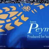 کفش ایمنی سایز ۴۳