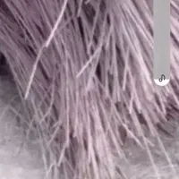 اجاره سیم سیخو 2 متری