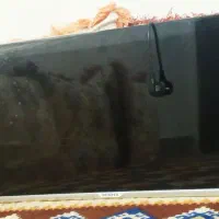 تلویزون ۳۲ اینچ