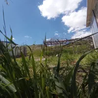 مسافر تهرانم