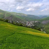 زمین با کاربری باغ
