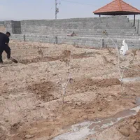 پلاک باغی ۵۰۰ متری بامجوز|فروش زمین و ملک کلنگی|اصفهان, براآن شمالی|دیوار