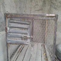 فروش پالت قفس|لوازم جانبی حیوانات|درگهان, |دیوار