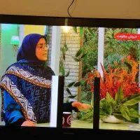 تلویزیون پلاسمای پاناسونیک 65 اینچ (معیوب)