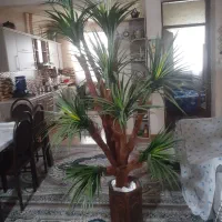درختچه مصنوعی بسیار زیبا به همراه گلدان هخامنشی|گل مصنوعی|رشت, جماران|دیوار