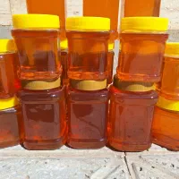 عسل طبیعی از تولید به مصرف بدون واسطه|خوردنی و آشامیدنی|رشتخوار, |دیوار