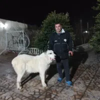 الابای یک جفت