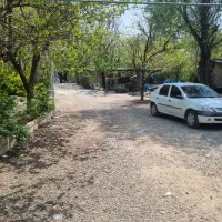 اجاره املاک فروش گوسفند پرواری در غرب تهران