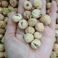 پخش انجیر از اصطهبانات فارس
