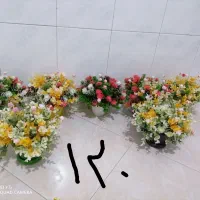 گل ماندگار|گل مصنوعی|ساوه, |دیوار