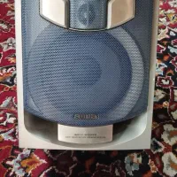 باندظبط ضبط