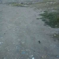زمین-فروشی