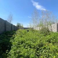 فروش-زمین-روستایی-300متری